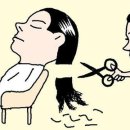 개미용실 이미지