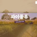 커넥트와이 이미지