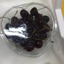 판교동577-1 이미지