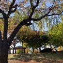 영등동유적 이미지