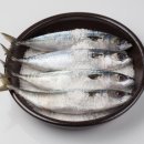 오늘의 단백질 이미지