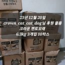 지오크라운 | 크라운샌드 기부 후기 - 지오냥이들과 친구들