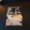 강남-024 이미지