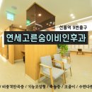 [ 비염수술 전 후 CT 비교 ] 좌측 비중격만곡증 수술 후기