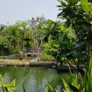 한국폴리텍 V 대학 전남캠퍼스 이미지