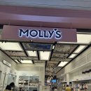 몰리스펫샵(스타필드 하남) | 하남 스타필드 몰리스몰 후기, 생각보다 더 커서 놀람! 랜더스 쇼핑 페스타 (내 돈 내산)