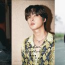 니브 카카오 검색결과