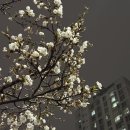견뎌내고 되돌아보니 청춘 | 4월 기억하기
