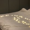 GS25 경주북군점 이미지