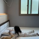 마빈가족탕 이미지