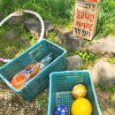 송산마을~백호저수지 | 광산구 자연 체험 명소｜송산목장 양떼와 함께한 하루