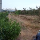 구암동213 이미지