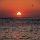 사랑해한의원 이미지