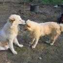 풍이농장 이미지