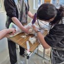 고양이 미용&호텔 뽀냥 | 고양이무마취미용 '고양이미용&amp;호텔 뽀냥' 방문 후기!