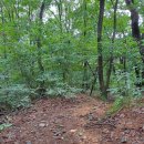 파주삼릉점 이미지