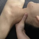 테오트리&더수