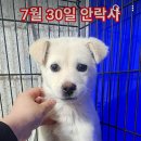 유기