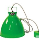 넥서스그린 이미지