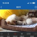 고수골 | 7월에 적는 6월 마무리