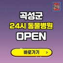 곡성-081 이미지