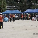 일직초등학교 이미지