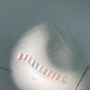 뉴문네일 - 강서구 | 뉴문네일