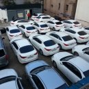 성원렌트카 이미지