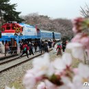 진해구 ⓒ-6 이미지