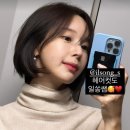 야옹이헤어 뉴스1
