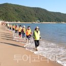 완도 이미지
