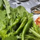 밤실대패