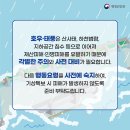 태풍건업 네이버블로그