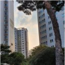 권선자이114공인중개사사무소 이미지