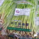 강회농장 네이버블로그