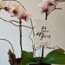 금공농장 이미지