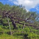 성불산자연휴양림 이미지