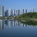 황금공인중개사사무소 이미지