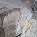 빅마마 | 빅마마 이혜정의 맛있는 포기김치 10kg 내돈내산 솔직 후기!