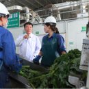 뷰티라인업 이미지