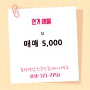 알찬공인중개사사무소 이미지