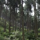 금곡영화마을 이미지