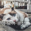 담은동물병원 이미지