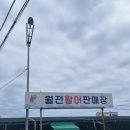 월전 | 월전활어판매장 방문후기 / 소영이네