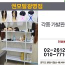권모발 네이버블로그