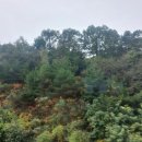 젠헤어드레싱이.미용학원 | 젠헤어드레싱이미용학원 커트 3회차