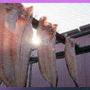 등너머민박 이미지