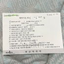 연제사랑의원 | [시험관 동결2차] 5일배양 상급배아 동결이식 당일 후기