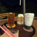 디저트39소하오리로점