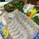두암세탁백화점 | 광주두암동맛집 대한수산물백화점 봄도다리회 입맛저격